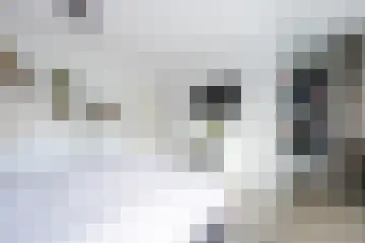 Lindehof 30 Helmond thumbnail 22