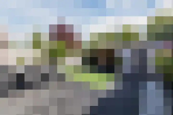 Lindehof 30 Helmond thumbnail 39