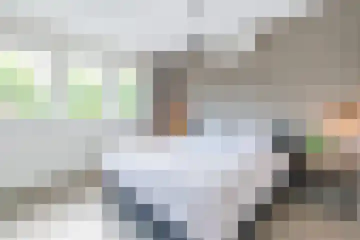 Lindehof 30 Helmond thumbnail 5