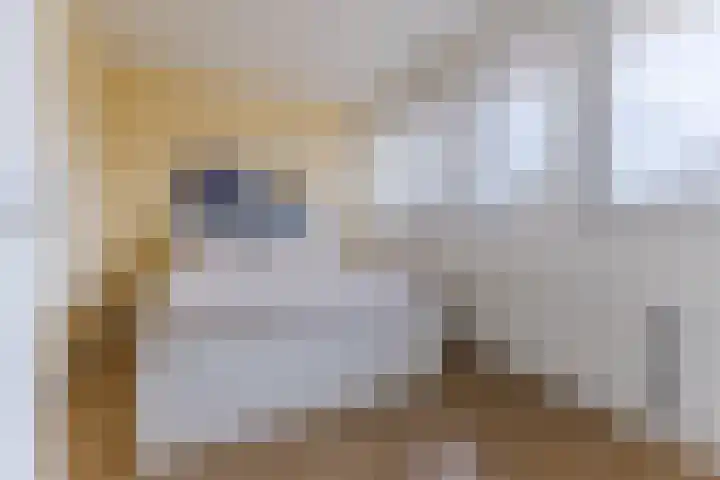 Lindehof 38 Helmond thumbnail 16
