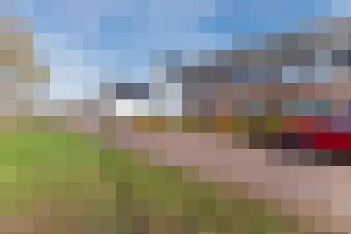 Lindehof 38 Helmond thumbnail 31