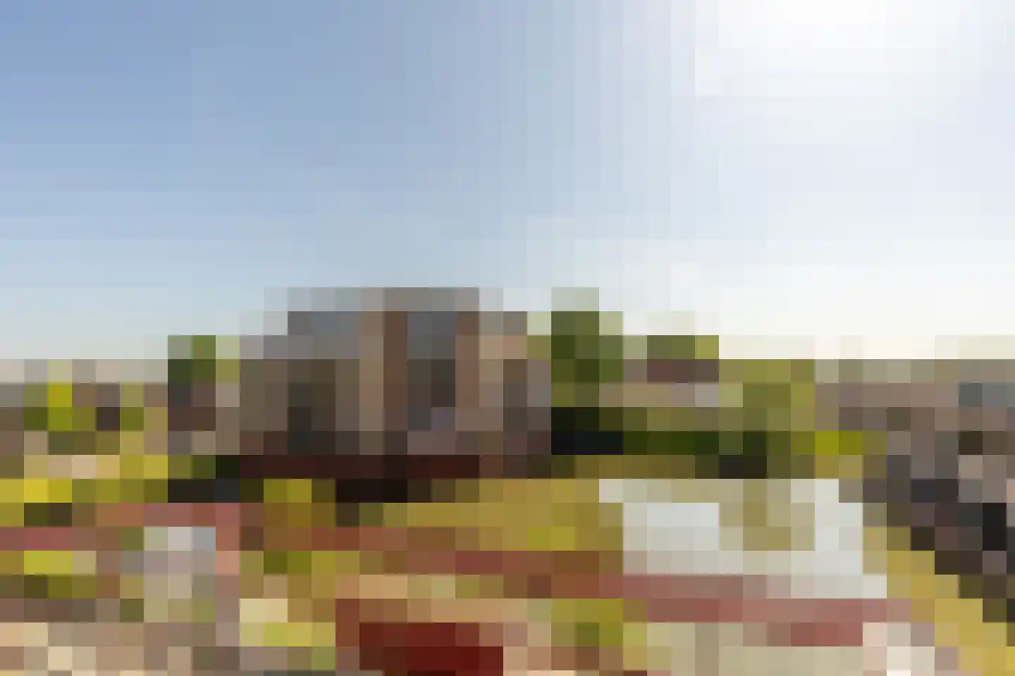 Lindehof 70 's-Gravendeel thumbnail 18