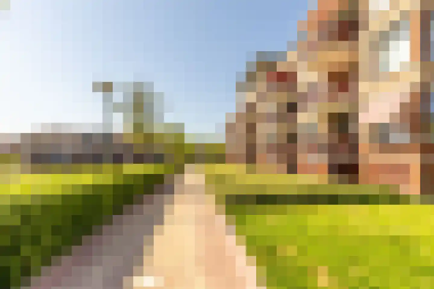 Lindehof 70 's-Gravendeel thumbnail 4