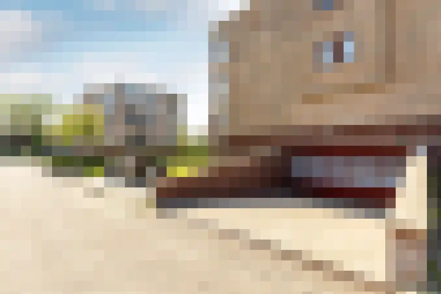 Lindehof 70 's-Gravendeel thumbnail 7