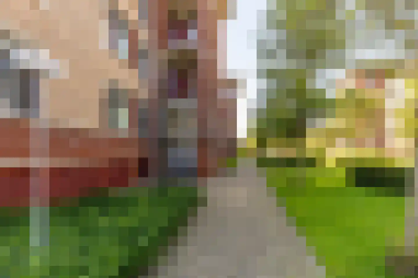 Lindehof 70 's-Gravendeel thumbnail 8