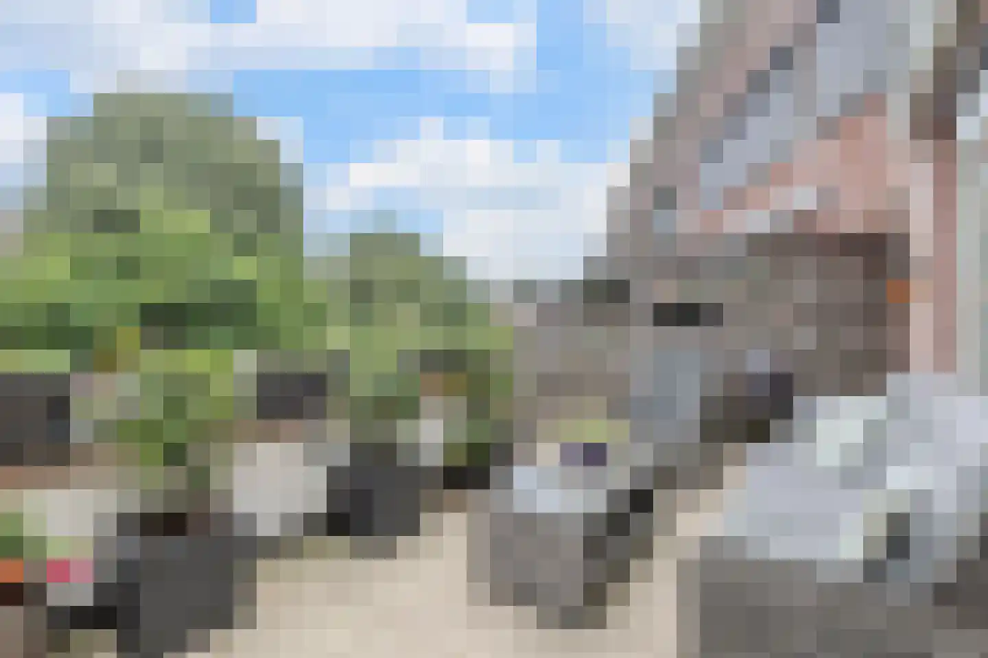 Lindehof 73 Bodegraven thumbnail 16