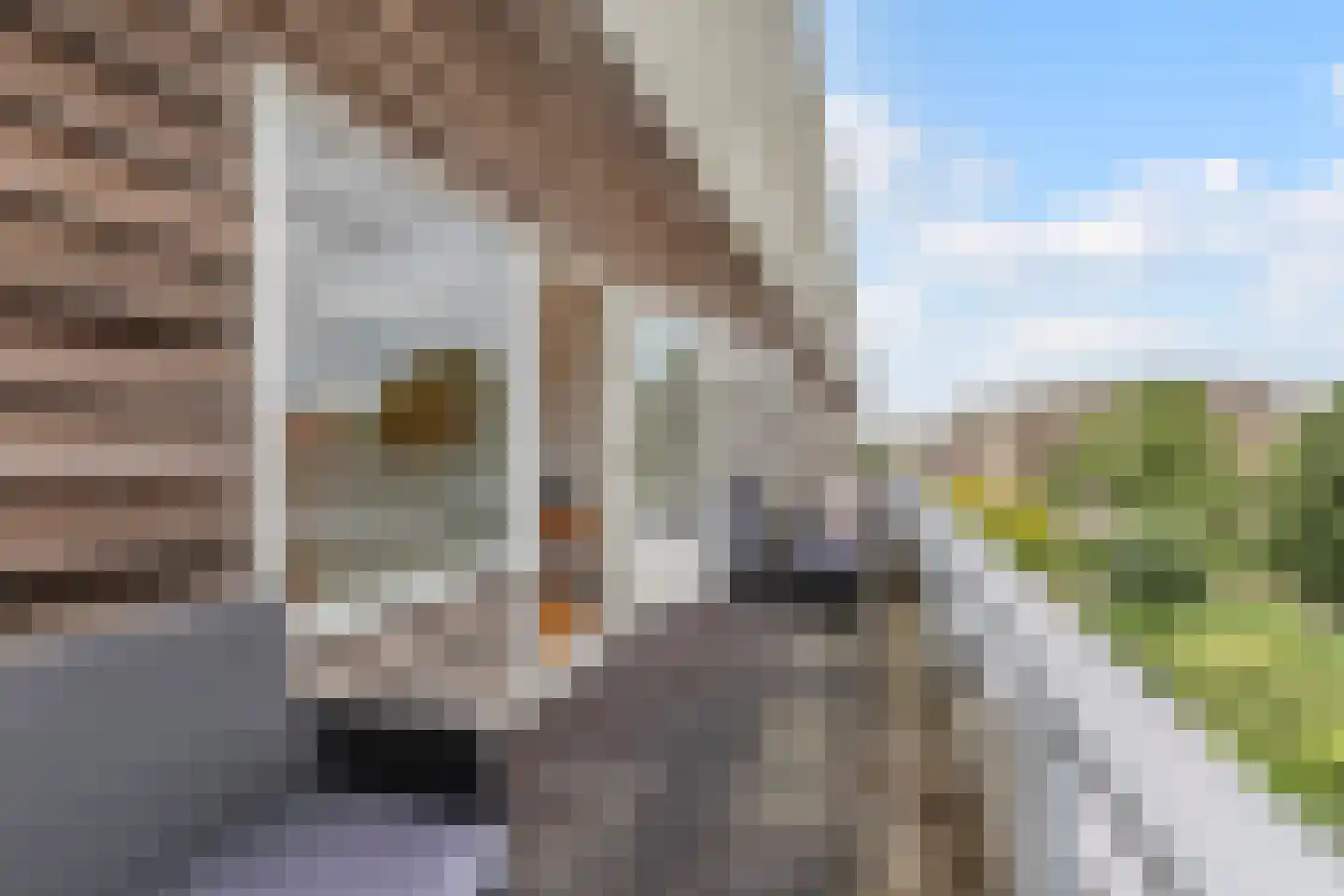 Lindehof 73 Bodegraven thumbnail 46