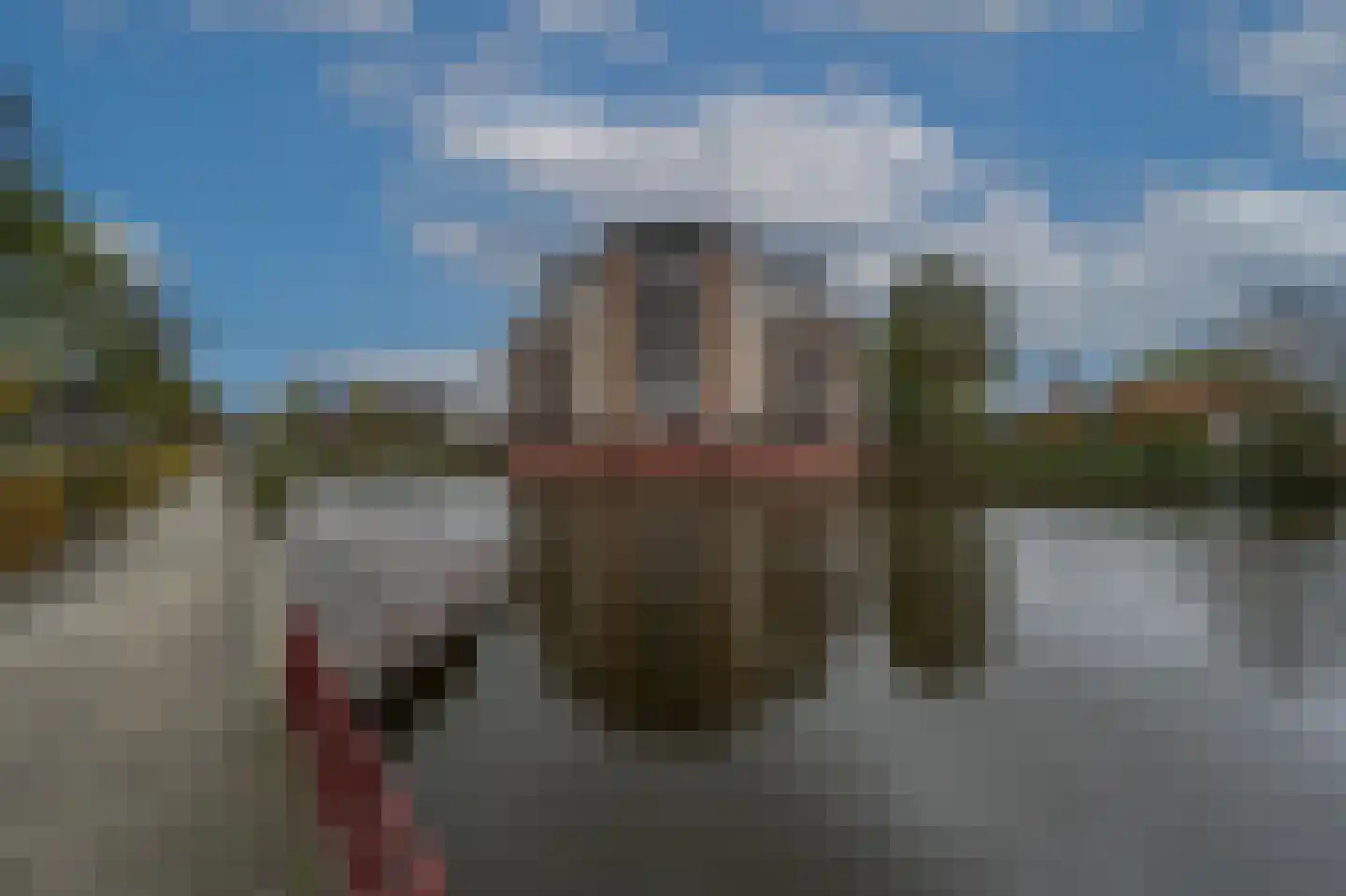 Lindehof 8 's-Gravendeel thumbnail 9