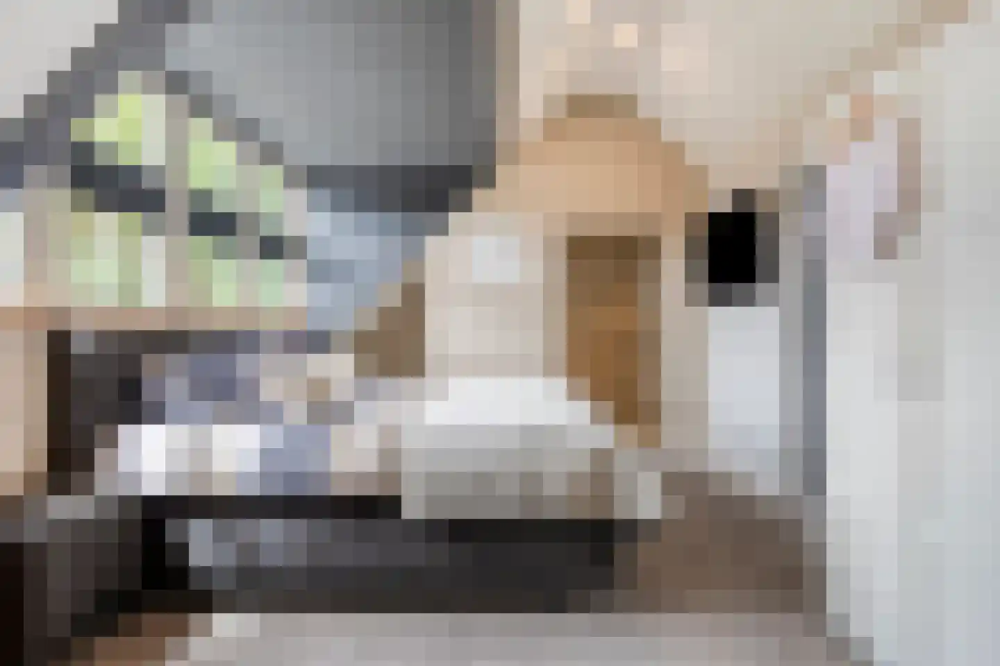 Lindehof 8 Wemeldinge thumbnail 29