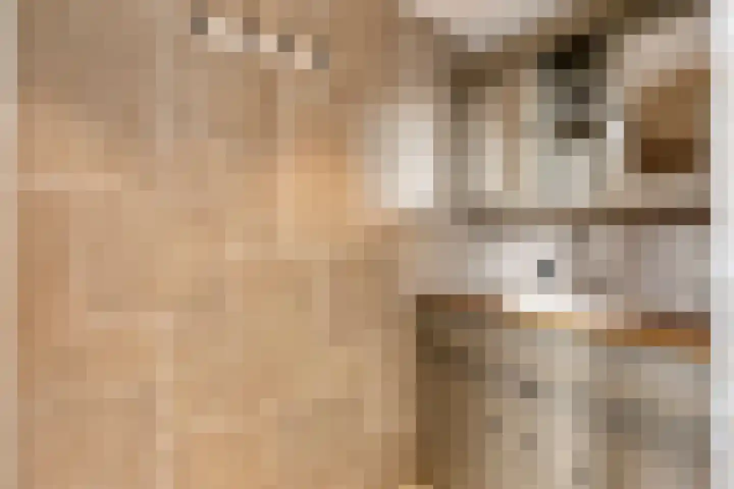 Lindehof 8 Wemeldinge thumbnail 30