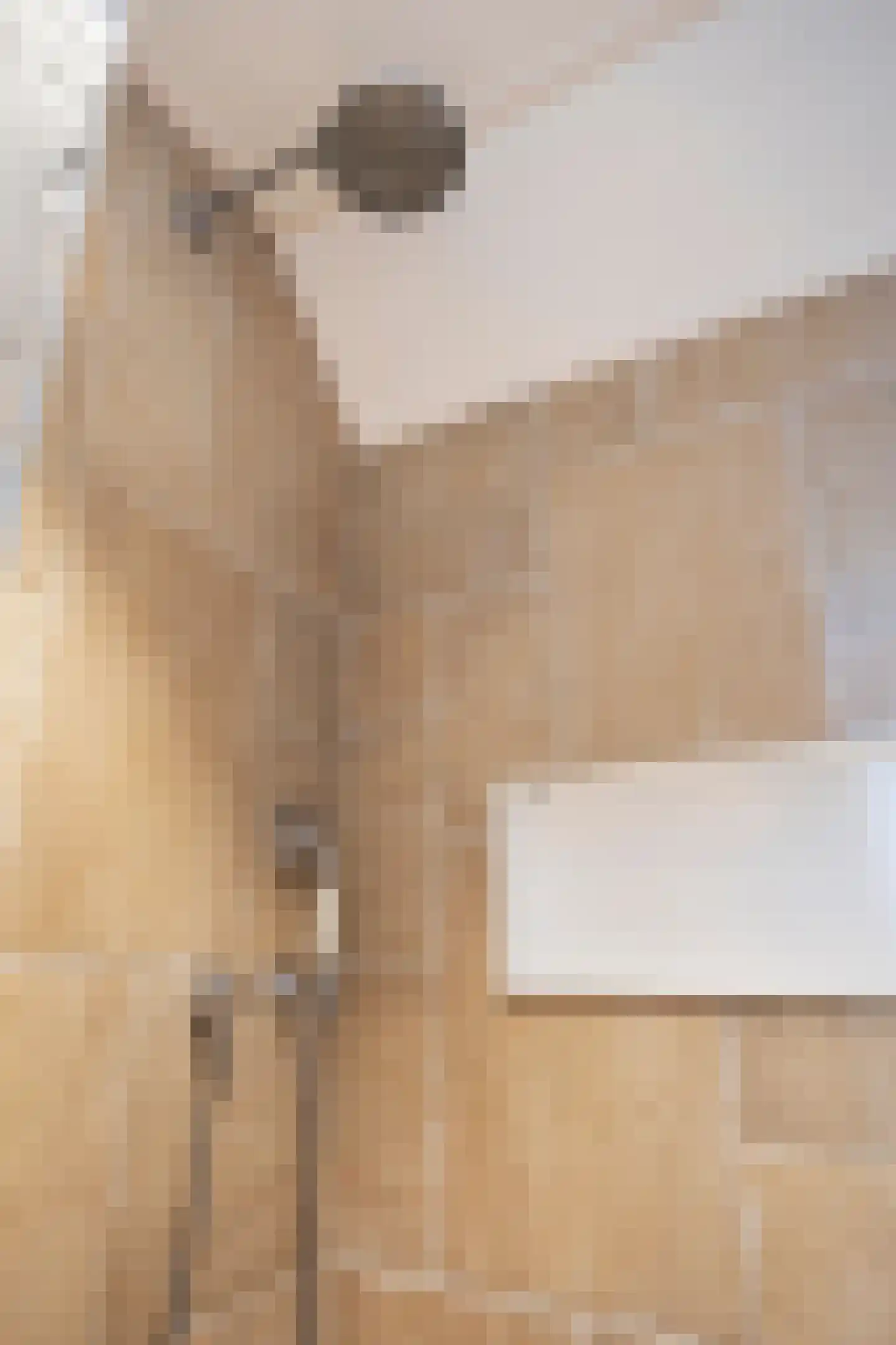 Lindehof 8 Wemeldinge thumbnail 31