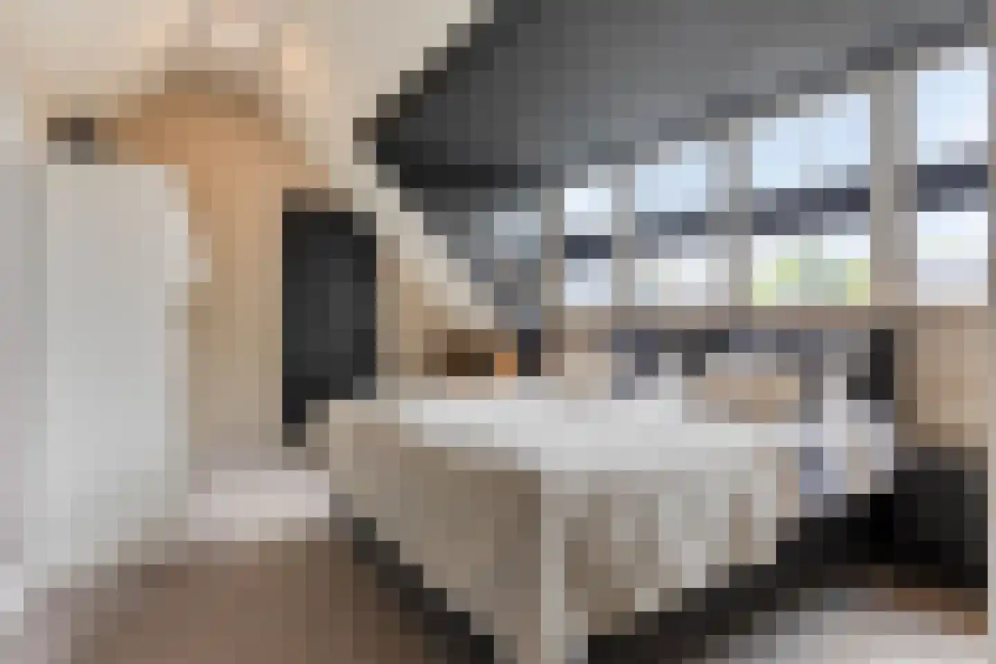 Lindehof 8 Wemeldinge thumbnail 32