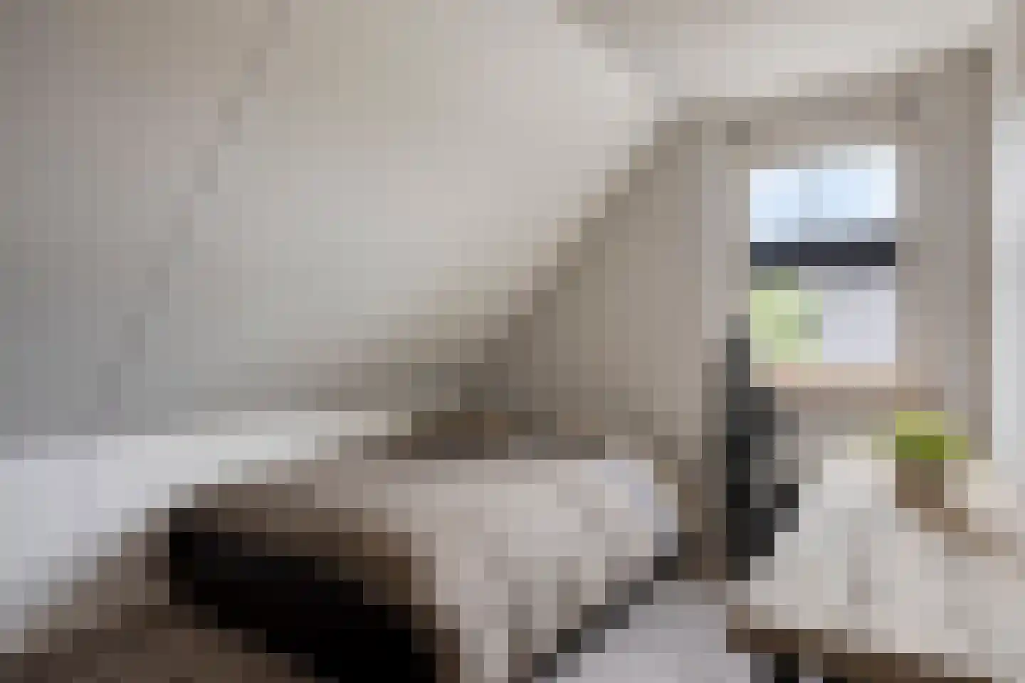 Lindehof 8 Wemeldinge thumbnail 38
