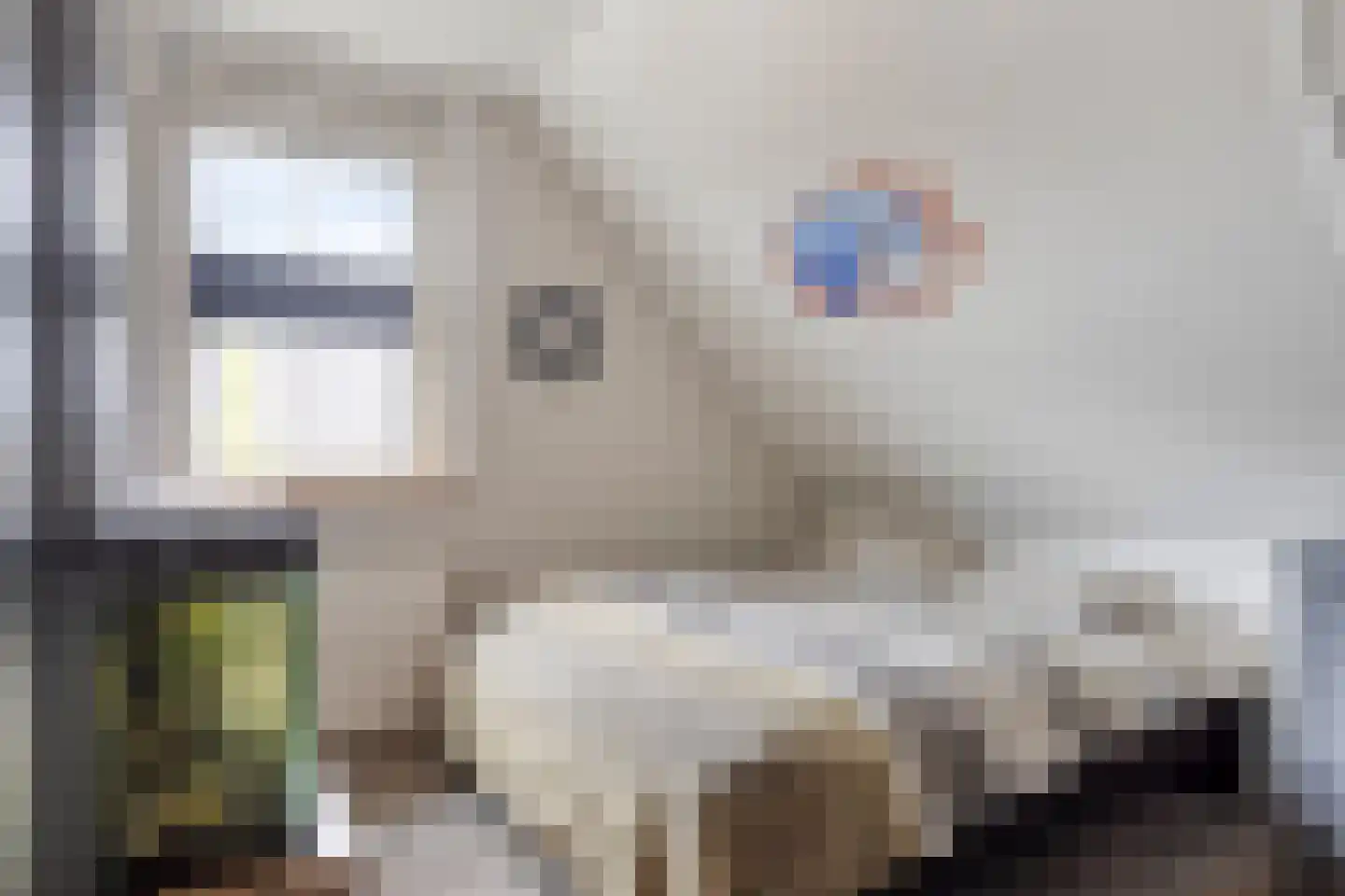 Lindehof 8 Wemeldinge thumbnail 39