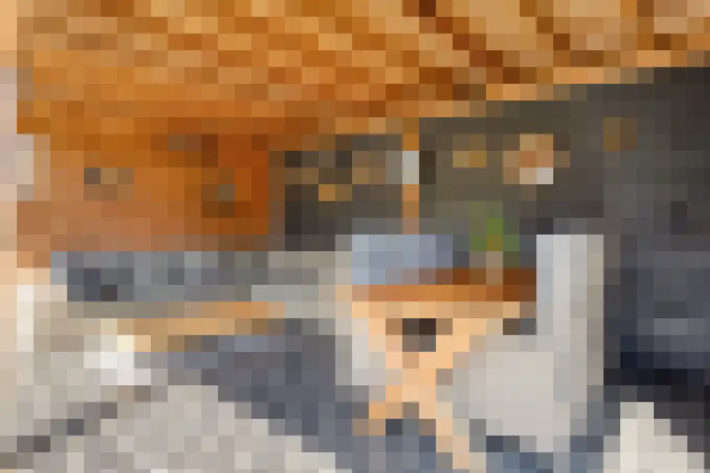 Lindehof 8 Wemeldinge thumbnail 54