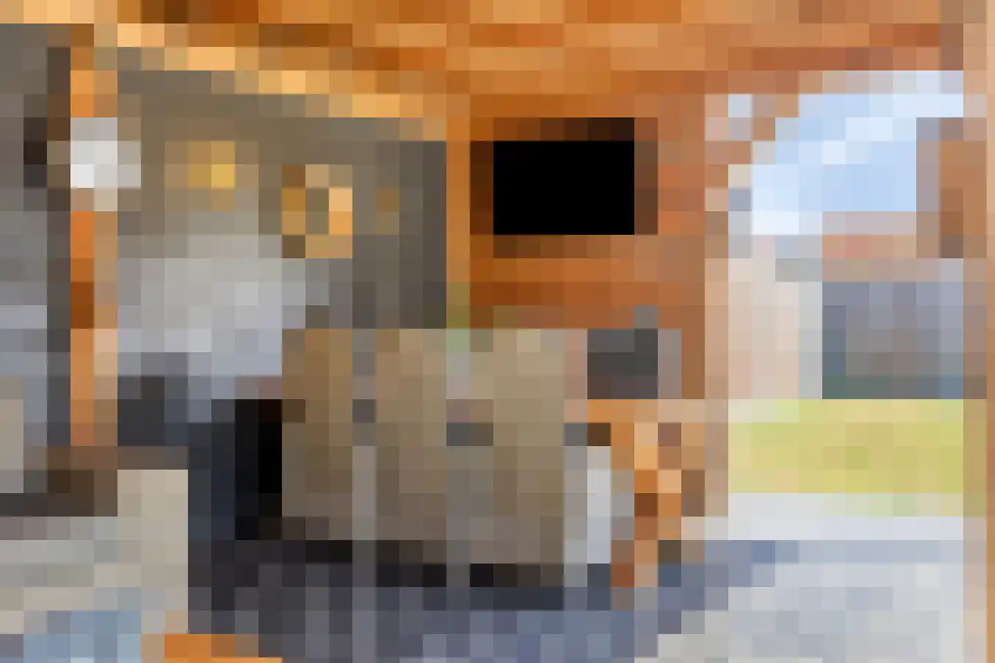 Lindehof 8 Wemeldinge thumbnail 55