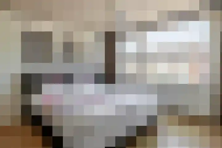 Lindehof N 23 Eersel thumbnail 20