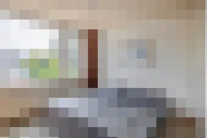 Lindehof N 23 Eersel thumbnail 22