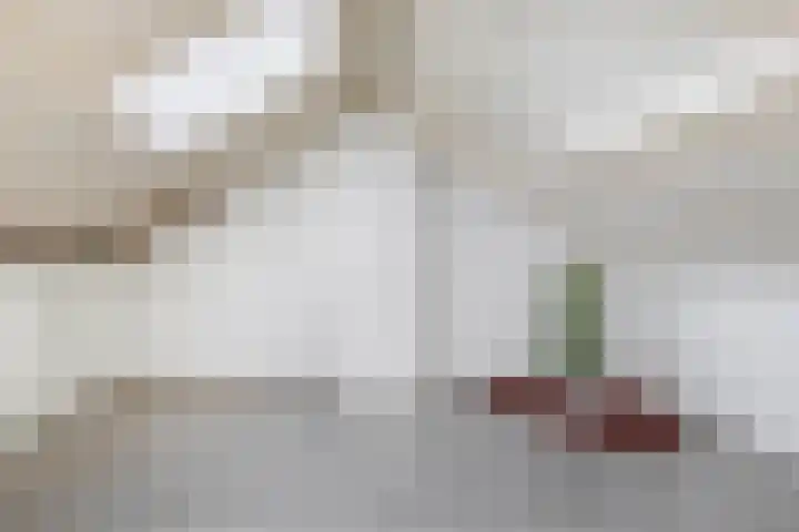 Lindehof N 23 Eersel thumbnail 27