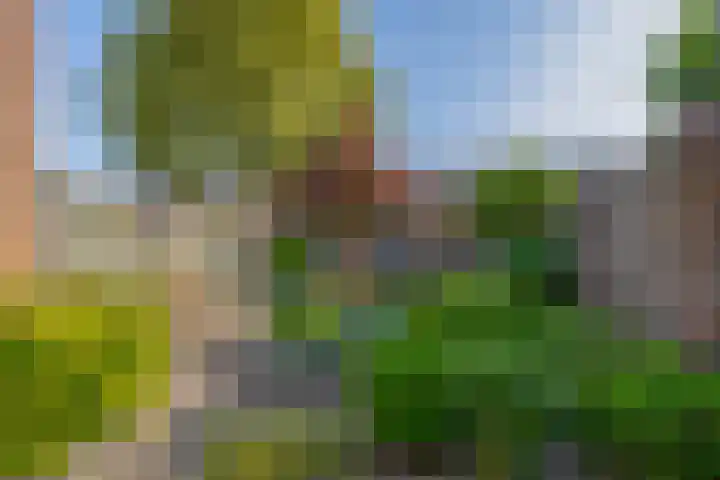 Lindehof N 23 Eersel thumbnail 29