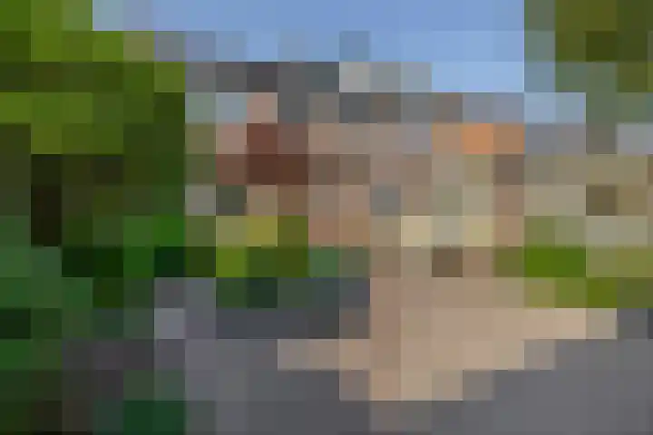 Lindehof N 23 Eersel thumbnail 32