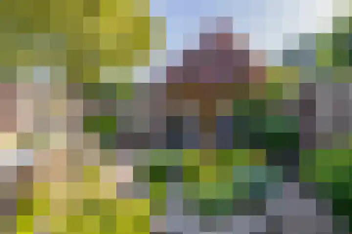 Lindehof N 23 Eersel thumbnail 4