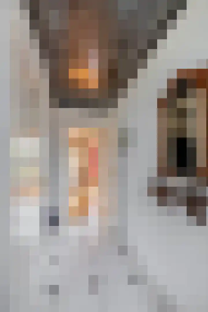 Lindehof N 23 Eersel thumbnail 7