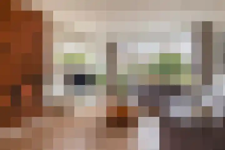 Lindehof N 33 Eersel thumbnail 10