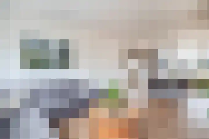 Lindehof N 33 Eersel thumbnail 12