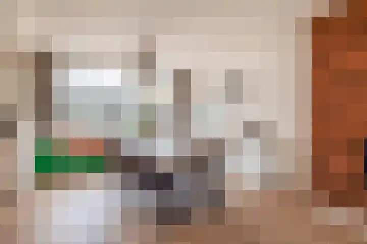 Lindehof N 33 Eersel thumbnail 13