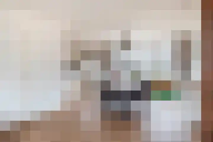 Lindehof N 33 Eersel thumbnail 14