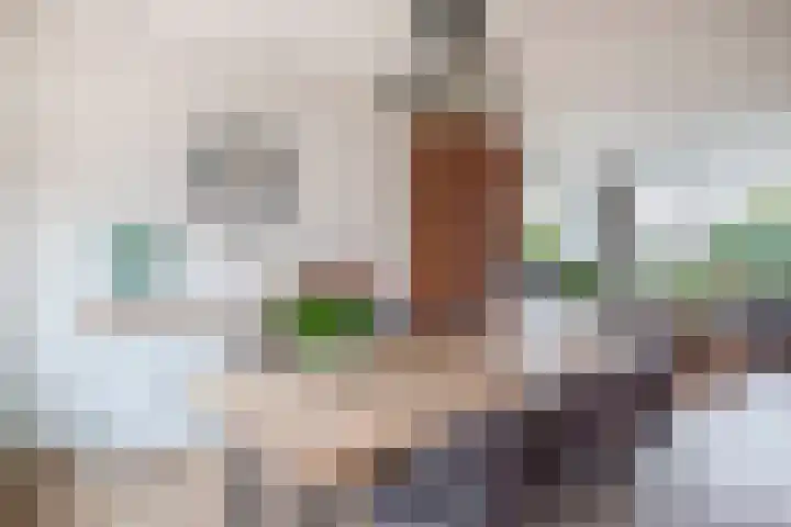 Lindehof N 33 Eersel thumbnail 15