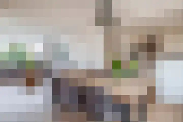 Lindehof N 33 Eersel thumbnail 16