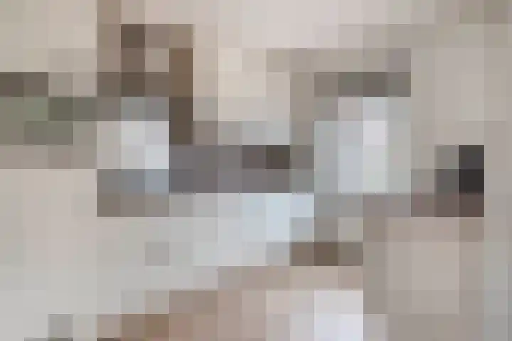 Lindehof N 33 Eersel thumbnail 17
