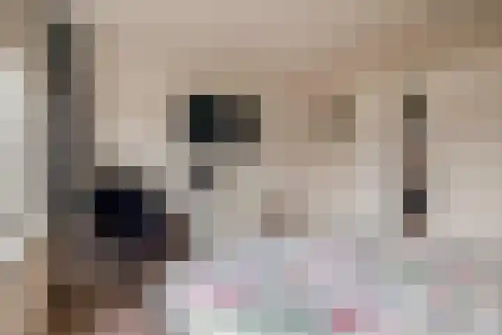 Lindehof N 33 Eersel thumbnail 22