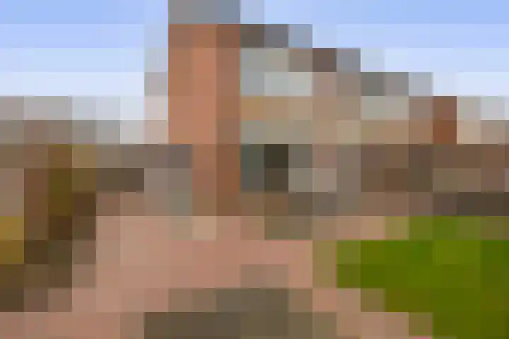 Lindehof N 33 Eersel thumbnail 32