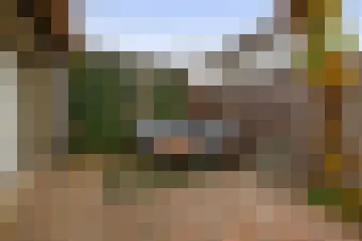 Lindehof N 33 Eersel thumbnail 34