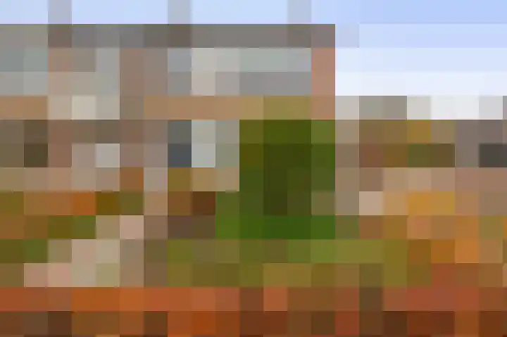 Lindehof N 33 Eersel thumbnail 38
