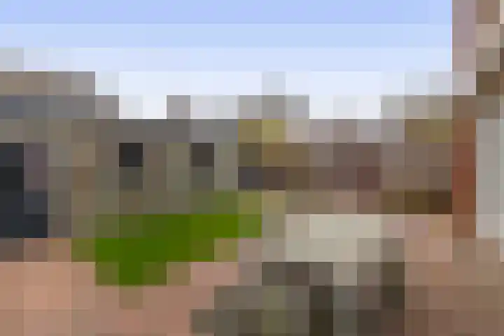 Lindehof N 33 Eersel thumbnail 4