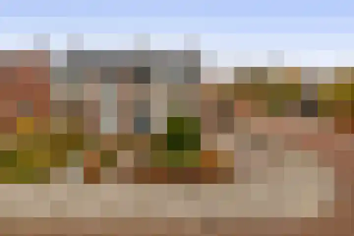 Lindehof N 33 Eersel thumbnail 40