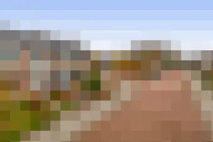 Lindehof N 33 Eersel thumbnail 41