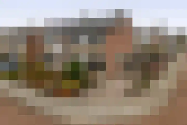 Lindehof N 33 Eersel thumbnail 5