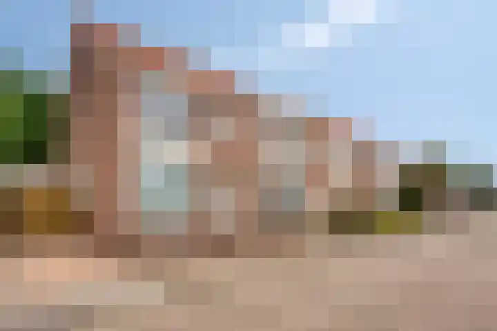 Lindehoutstraat 17 Helmond thumbnail 37
