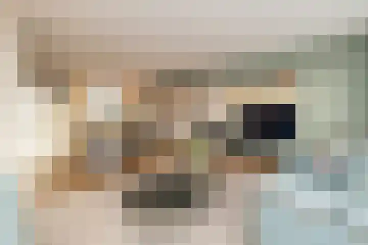 Lindehove 11 Kwintsheul thumbnail 10