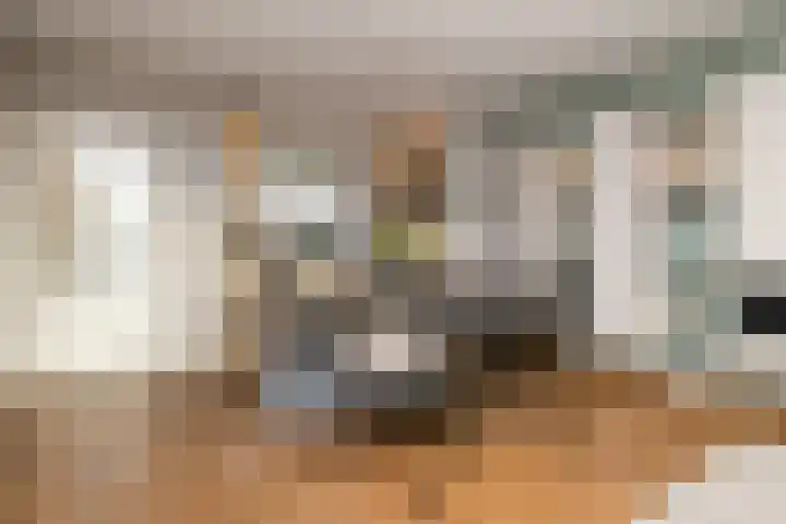 Lindehove 11 Kwintsheul thumbnail 11