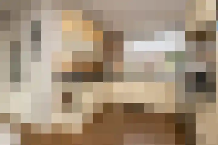 Lindehove 11 Kwintsheul thumbnail 12