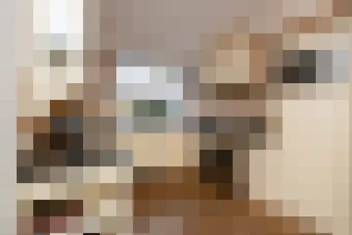 Lindehove 11 Kwintsheul thumbnail 13