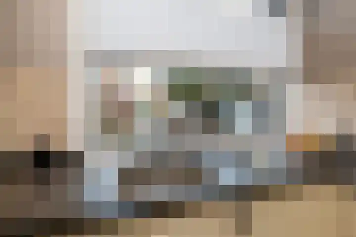 Lindehove 11 Kwintsheul thumbnail 14