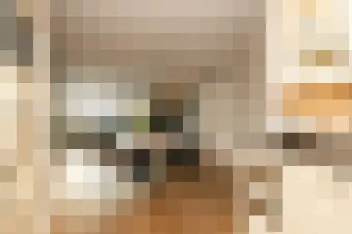 Lindehove 11 Kwintsheul thumbnail 15