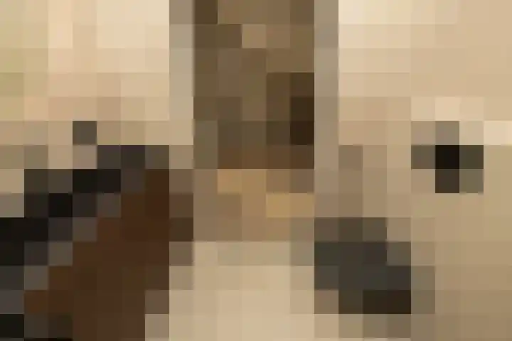 Lindehove 11 Kwintsheul thumbnail 24